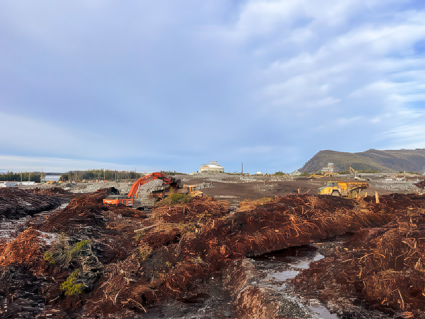 REEF-feb-19-2025