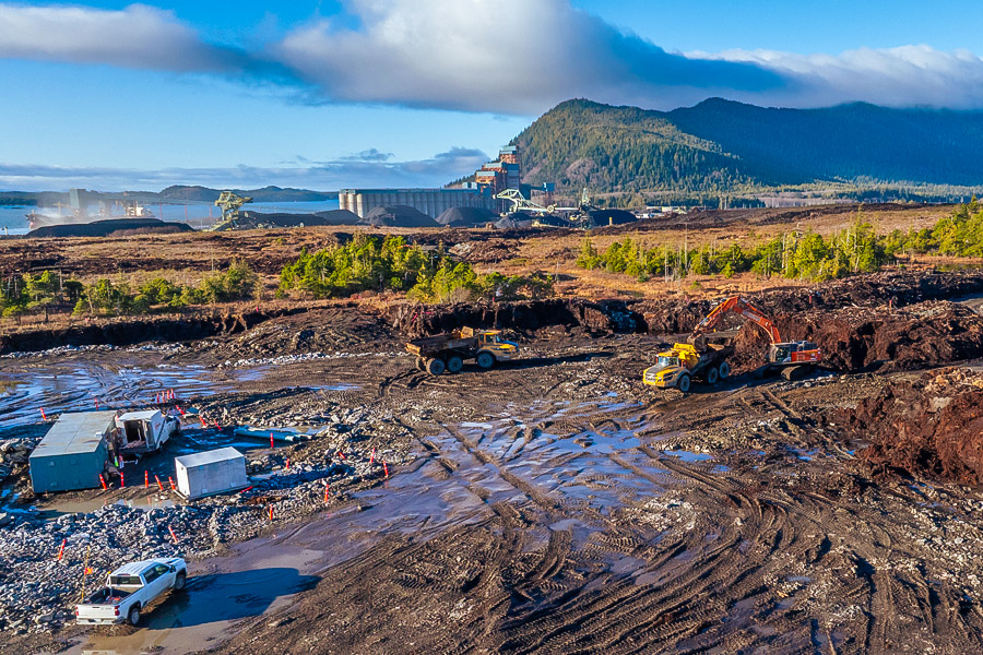 reef_updates_march_2025_1